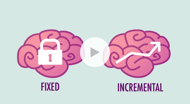 Fixed vs. Incremental Video Cover